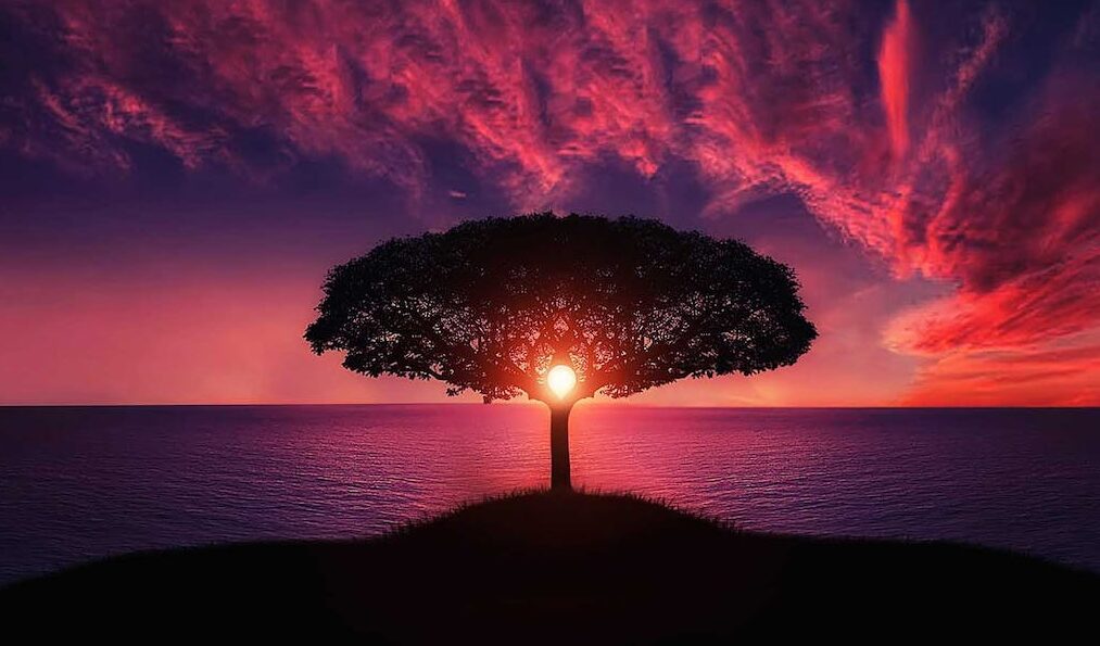 Как заказать разработку сайта. Этапы разработки